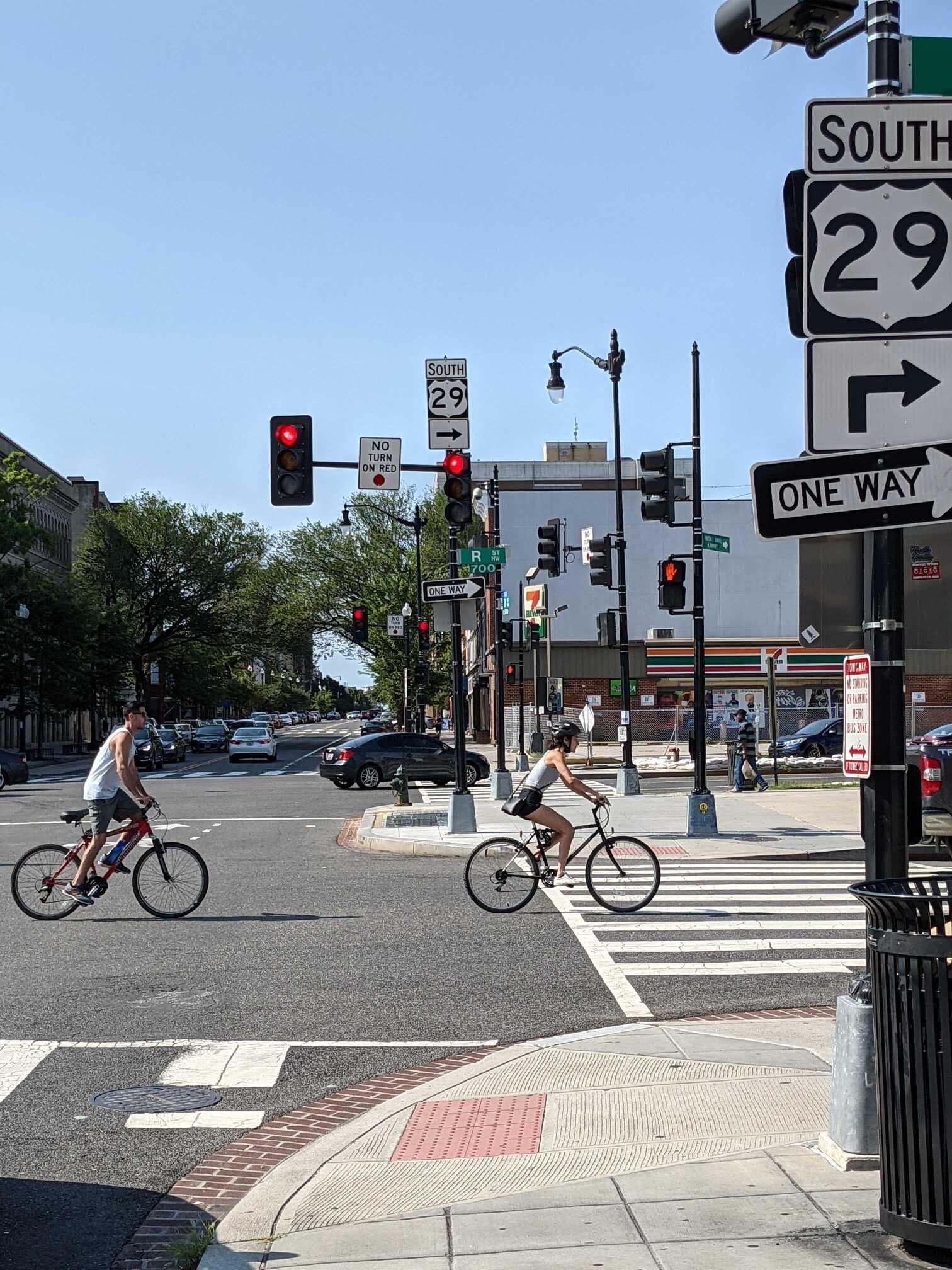 strapi-seed-1772804057920-pxl_20210718_135537910mp